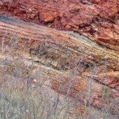 504d3a425060aa97538a8d75c7de52a0