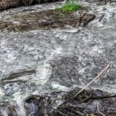 53c88c679e3d7b99c6a76a569d47135f