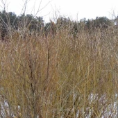 5478ca2e3fc1545cbfa175e823c59435