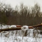 5588f3c2f4918e52d89953967c1e5df3