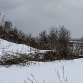 56a55e706a9f9c9026f0bd9fe650a955