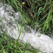 5d24c8650f1ceecf83ce53d186d5de85