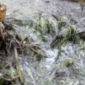 5d4559da00542e49bccb7faaa6bab7dc