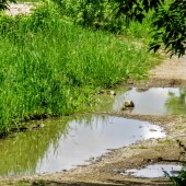 61945abc98794c16f8854e583a840ad0