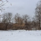 646f57d20bd345ee987d8f5e47965377