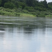 6fd43010a03af0562df6c5d6fa3edee7