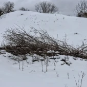 71840242efc6251d16878b90d56ec6a9