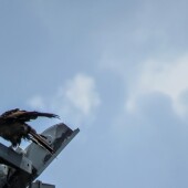 733ad33556bd53ce005a24c9740f4779