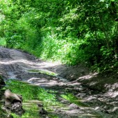 73f8fda3a4ade99ea24bef3bb5f21ecd