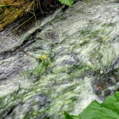 77f796b261a9b8821d7be9f3eb401155