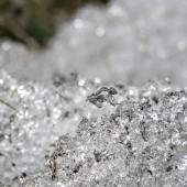 7802411f7cce89f5deb6f0bb78ad92a9