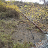 7b3e7162d08d16b4fb6a8e82b6b5bfc9