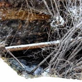 7c357662f2a41e58396c8943b50cac7f