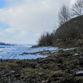 7d6c4aaaea5e6ab23a55e0610251e39a