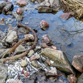 8470621e02b7ae7573e4ac54ac320b1d