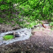 87f375e8fbb1ee57250fec61c79da18d