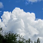 8888764441a99a44a0cdfd4faf1a4347