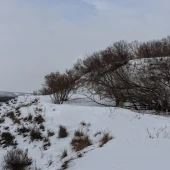 8e72805ecbc706ca614b5da0c1c62f9f