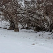 90d01d80a60d4a554407d3d6979c5e03