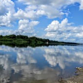 966ab1b5bc86c0d6f9e30dd01113b209