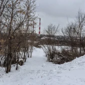 98a348361eb996c0c1e8c677212f2489