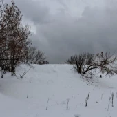 9a31424db74e5d2711c3eb29541dff85