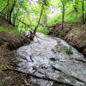 9f299951dbb4826c18eae757eb74a721