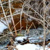 a0346dcfd003e39c667b0ceb8057ec93