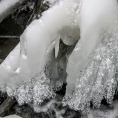 a18f7af4cb3864af0b4f033d3fc4a253