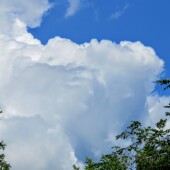 ac4ebb0873966ecc851a0ed82778553d