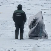 b0921dfd2a1d5266b1499dd5324d85e4