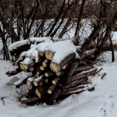 b53c524e08c252a95cfd97eb9b5a3588