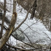 c7d4047e8ceb3abc551dcfd92cff8ec0