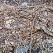 cb678f14dbdffd8faa4963f502f4c646