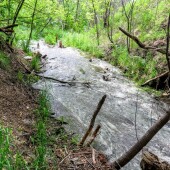 d8a31009037e523ca855129100a758a6