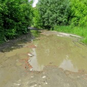 da973ab634b37a9ccadeea69a075a00f