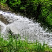 db91350986243e18ed27d235a550386e