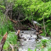 e42dd9d8264e1e9b48332b8a5c52c0ac