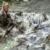 f19049b376eaa870856b028ebdedd7c7