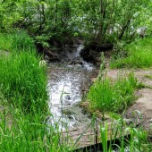 f3de64fb8313323e97741ca0e85d13e9