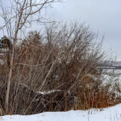 f5a468ed14a9a9e3fd4ff46aa515b63c