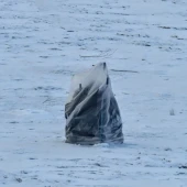 f93559f4b58c673a66d45c647555d348