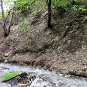 fe7647a5574db4cdc091d78a22221fcf