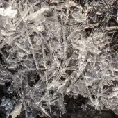 0ce53ee50e4b6f3ff4bae36b78e83446