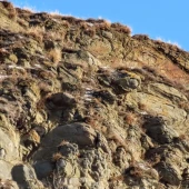 1dd2512f8884a9beb85815169e93546e