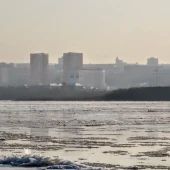 20213b47fe55350c9782054927f7b119