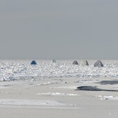 428949a425c57722f08f34d6a74e6c78