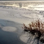 5ee2f7ed616a5ff09a9ccd11ff10abb1