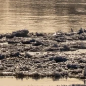 69fff57d3f747756925b9cb0d0d352f4