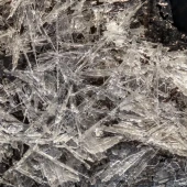 7f66b4d0a82384042d6ec2ad79a10ef7